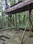 深山老林