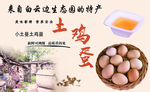 土鸡蛋