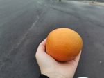 手拿橙子