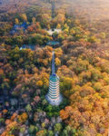 自然风景