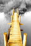金箔栈道