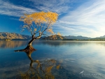 山水风景