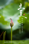 立夏图片
