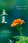 立夏图片