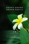 立夏图片