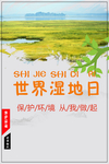 湿地日  湿地旅游 湿地公园