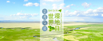 湿地日  湿地旅游 湿地公园