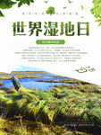 湿地日  湿地旅游 湿地公园