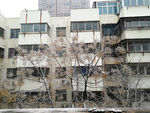 下雪天