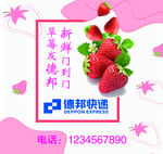 草莓海报