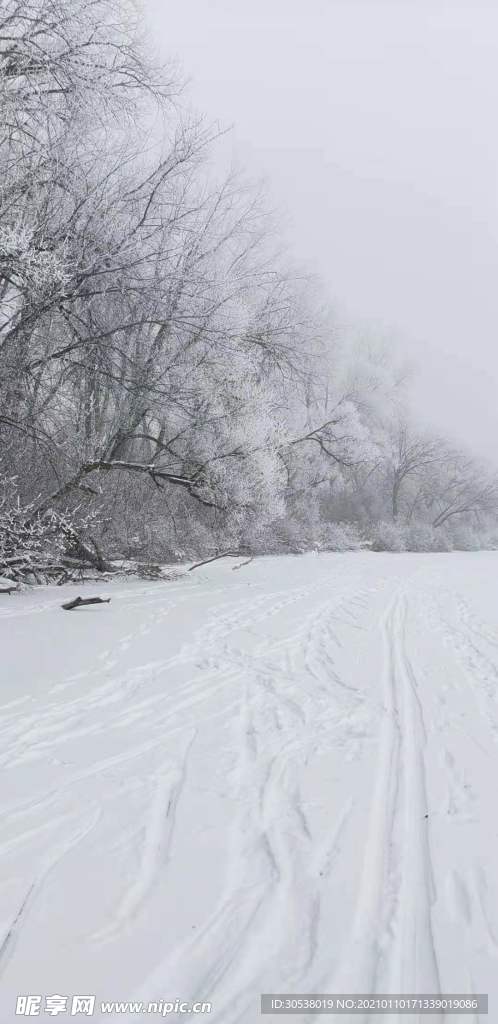 雪景