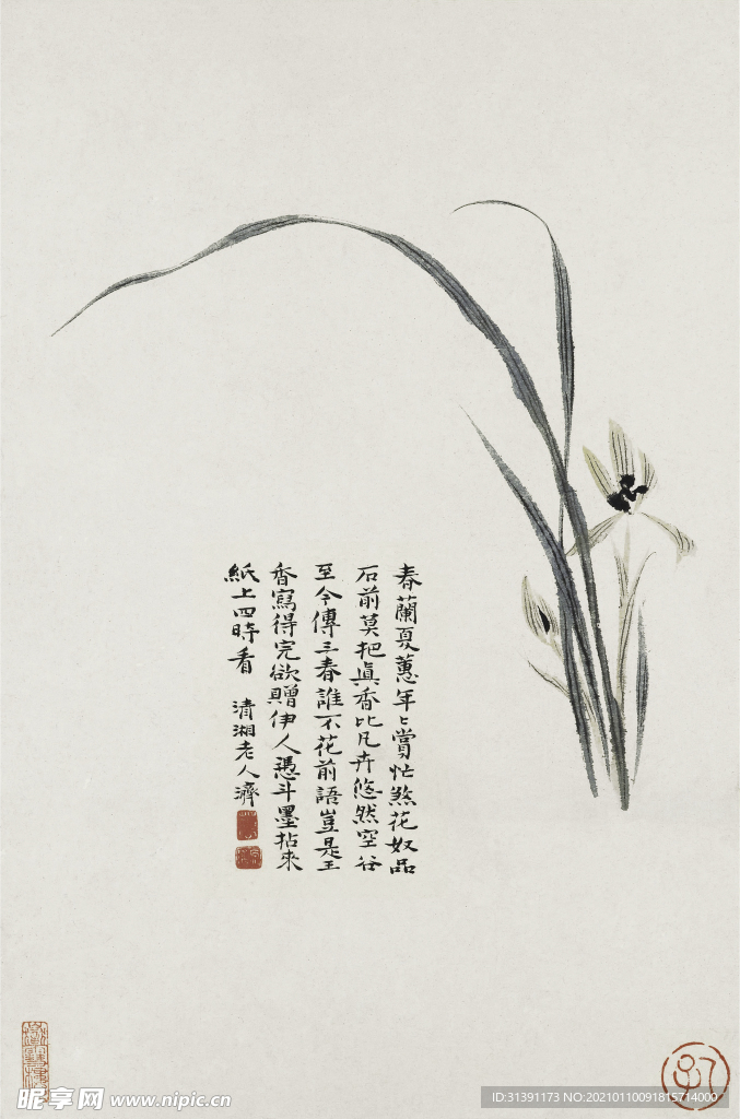 兰草