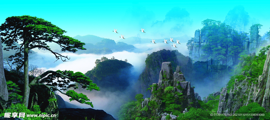 松树青山
