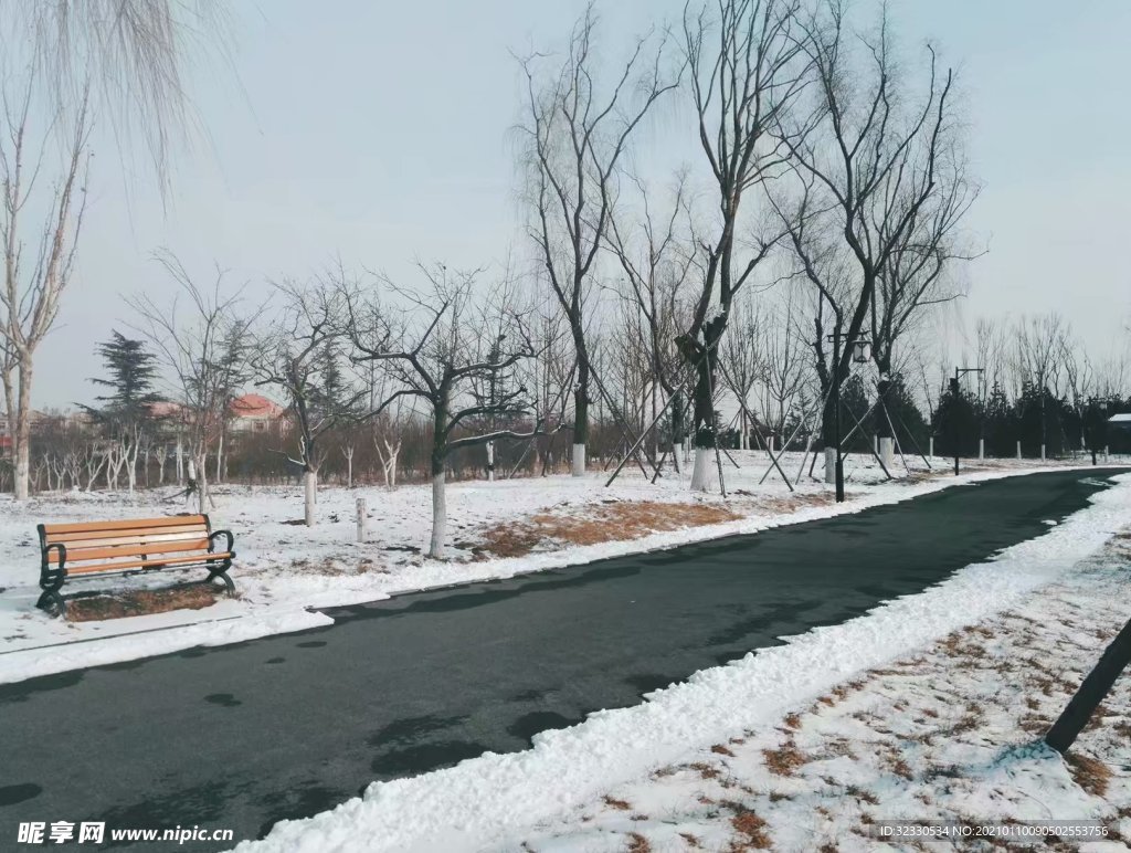 公园雪景