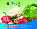 营养肥料蔬菜