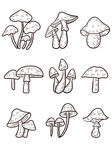 卡通蘑菇矢量图