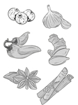手绘食物插画