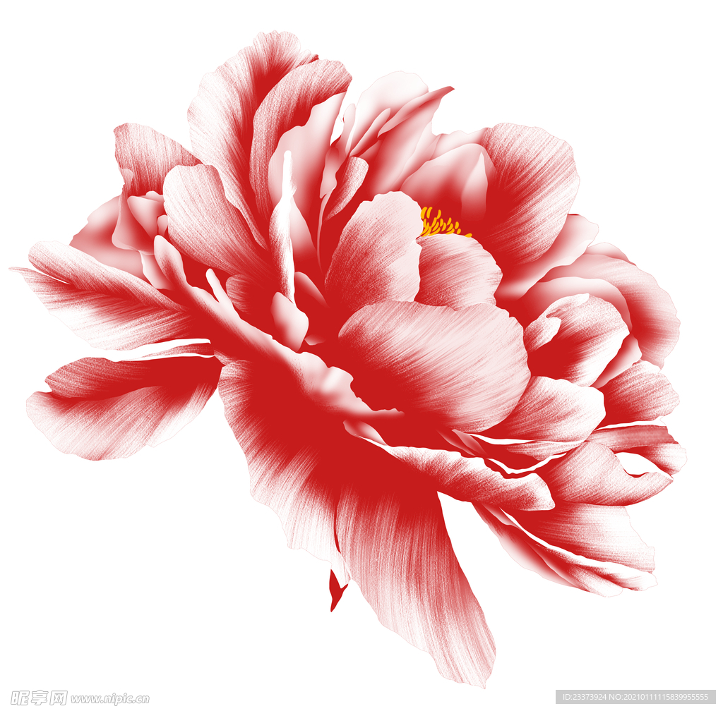 牡丹 花 手绘 女装 大牌花