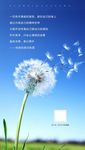 正能量  微信  单图