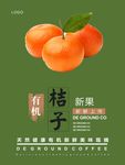 桔子海报
