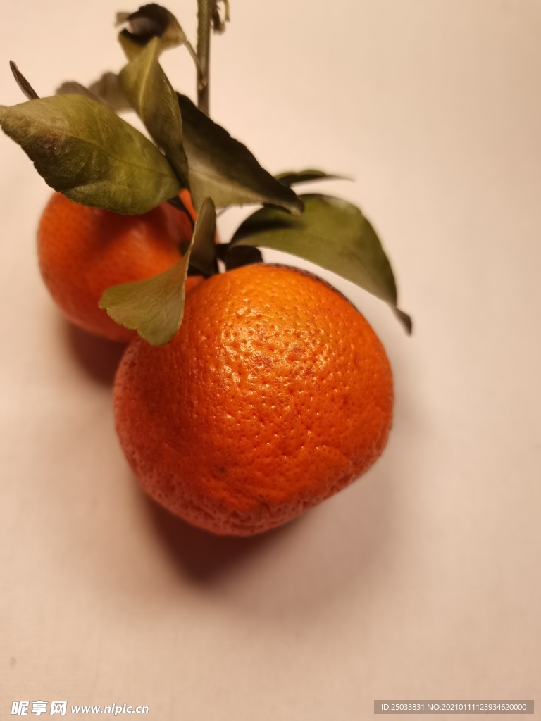 橘子
