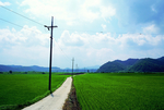 电线杆