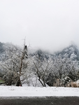 雪景