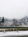 雪景