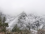 雪景