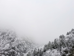 雪景