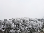 雪景