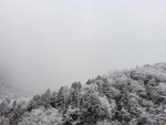 雪景
