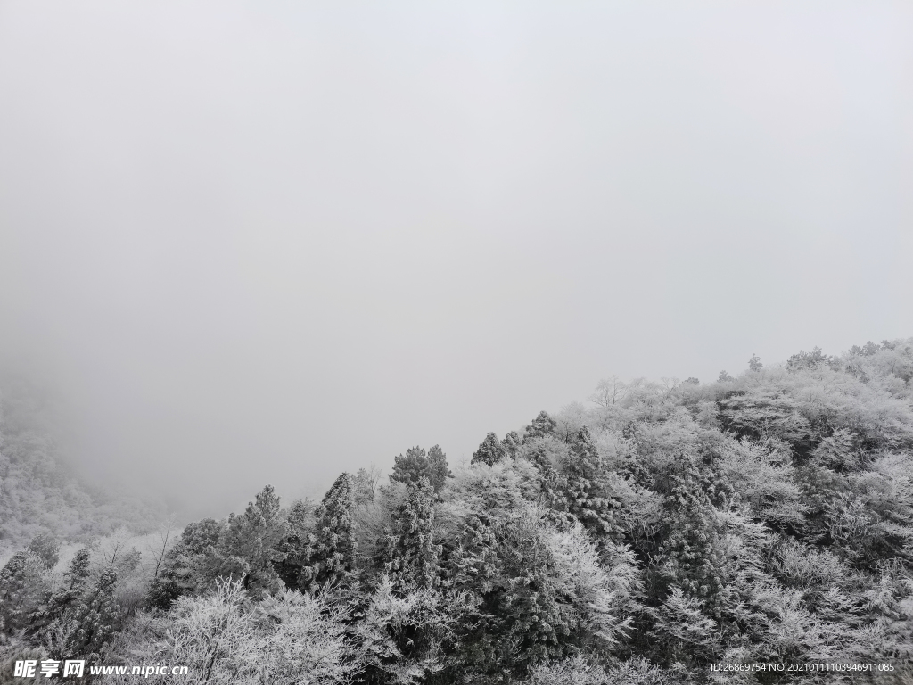 雪景