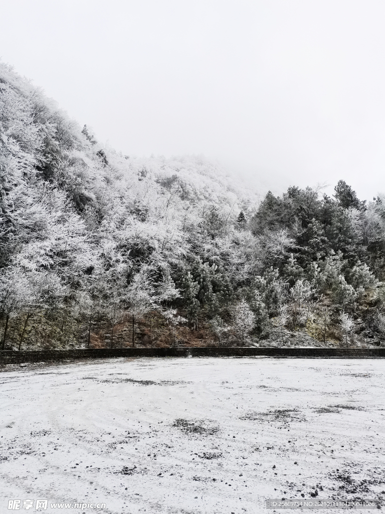 雪景