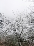 雪景