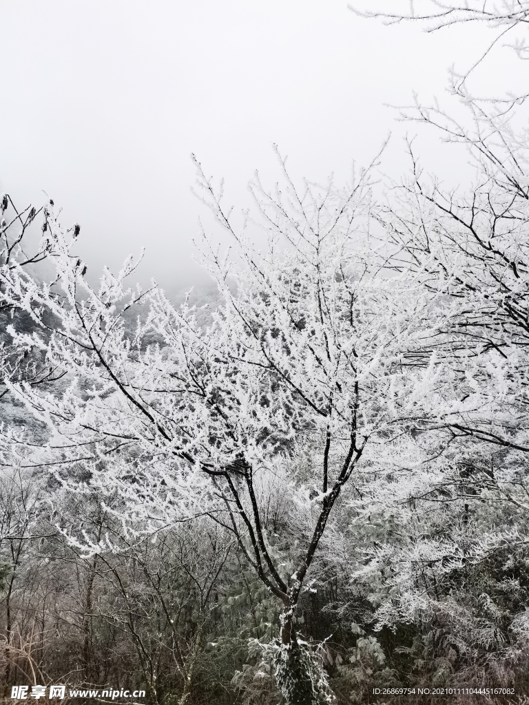雪景