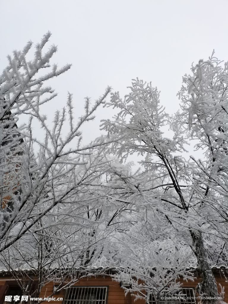雪景