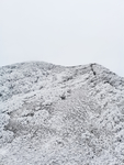 雪景