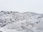 雪景