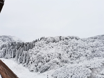 雪景