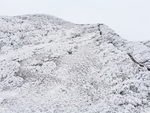 雪景