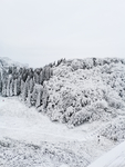 雪景