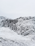 雪景
