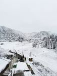 雪景
