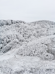 雪景