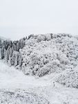雪景