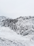 雪景