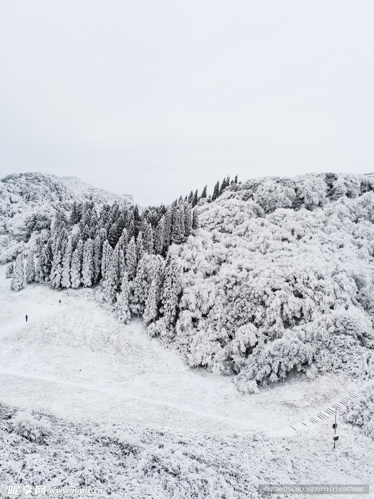 雪景