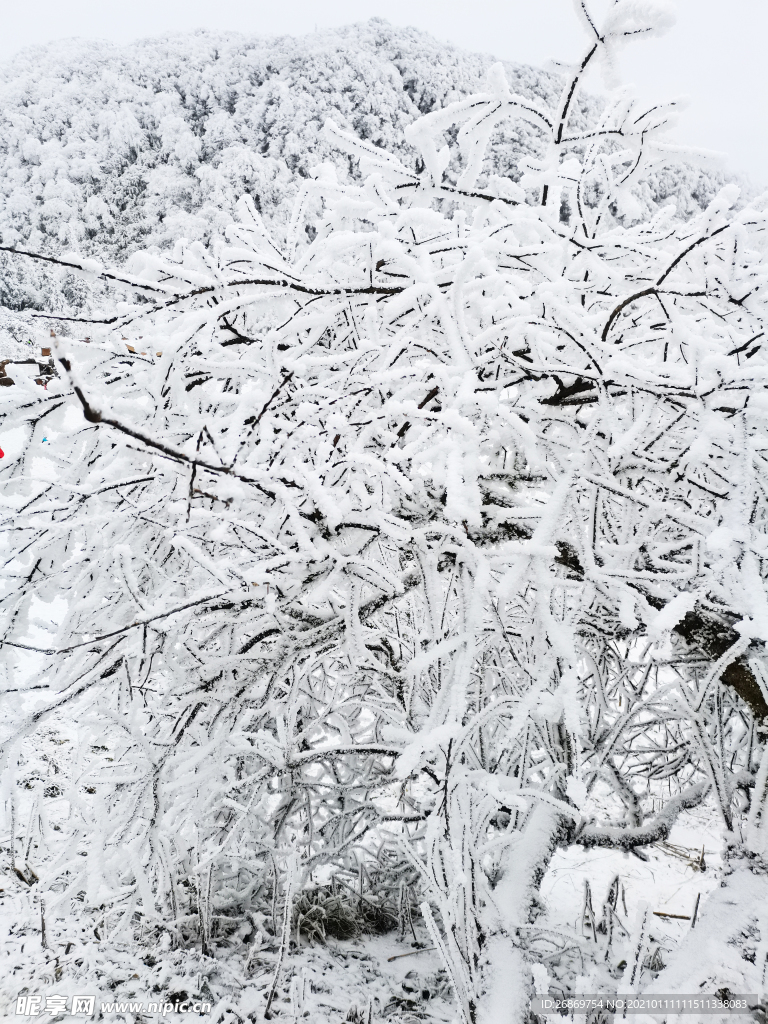 雪景