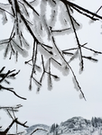雪景
